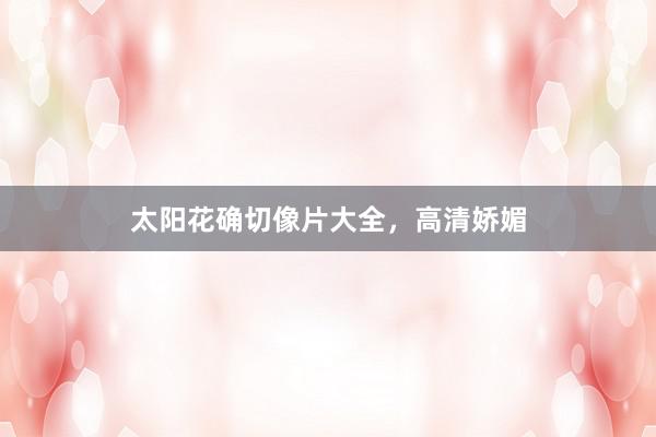 太阳花确切像片大全，高清娇媚