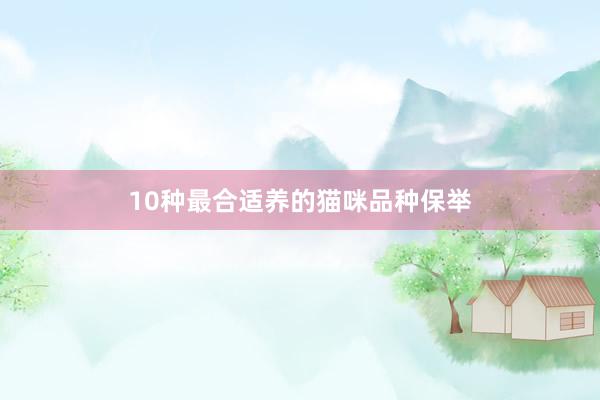 10种最合适养的猫咪品种保举