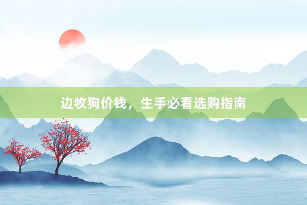 边牧狗价钱，生手必看选购指南