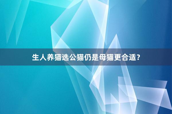 生人养猫选公猫仍是母猫更合适？